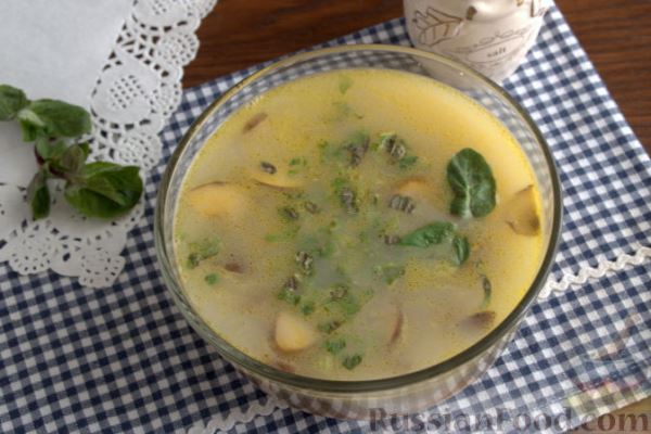 Сырный суп с мятой (в мультиварке)